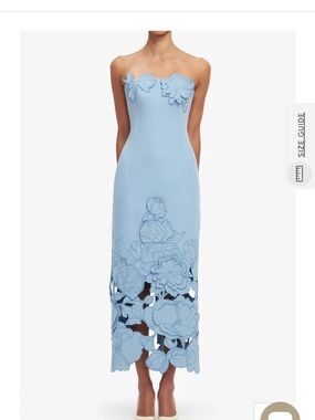 Miss Rosier Inga Blue Strapless Floral Embroidered Maxi Dress